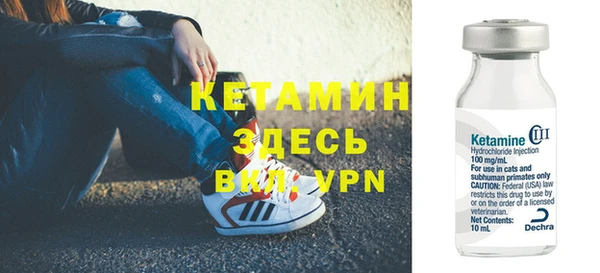 дмт Бородино