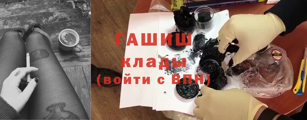 дмт Бородино