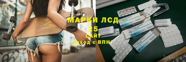 дмт Бородино