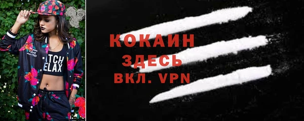 дмт Бородино