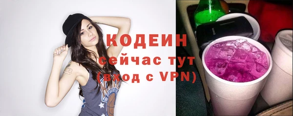 дмт Бородино