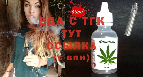 дмт Бородино