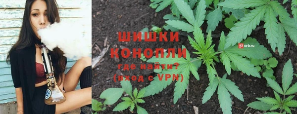 дмт Бородино