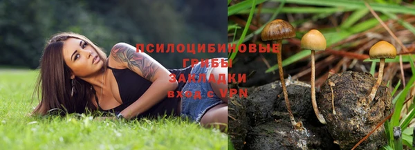 mdpv Бугульма