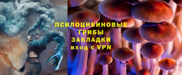 дмт Бородино