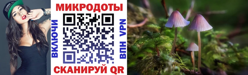 Галлюциногенные грибы Magic Shrooms  Купить закладки  Володарск 